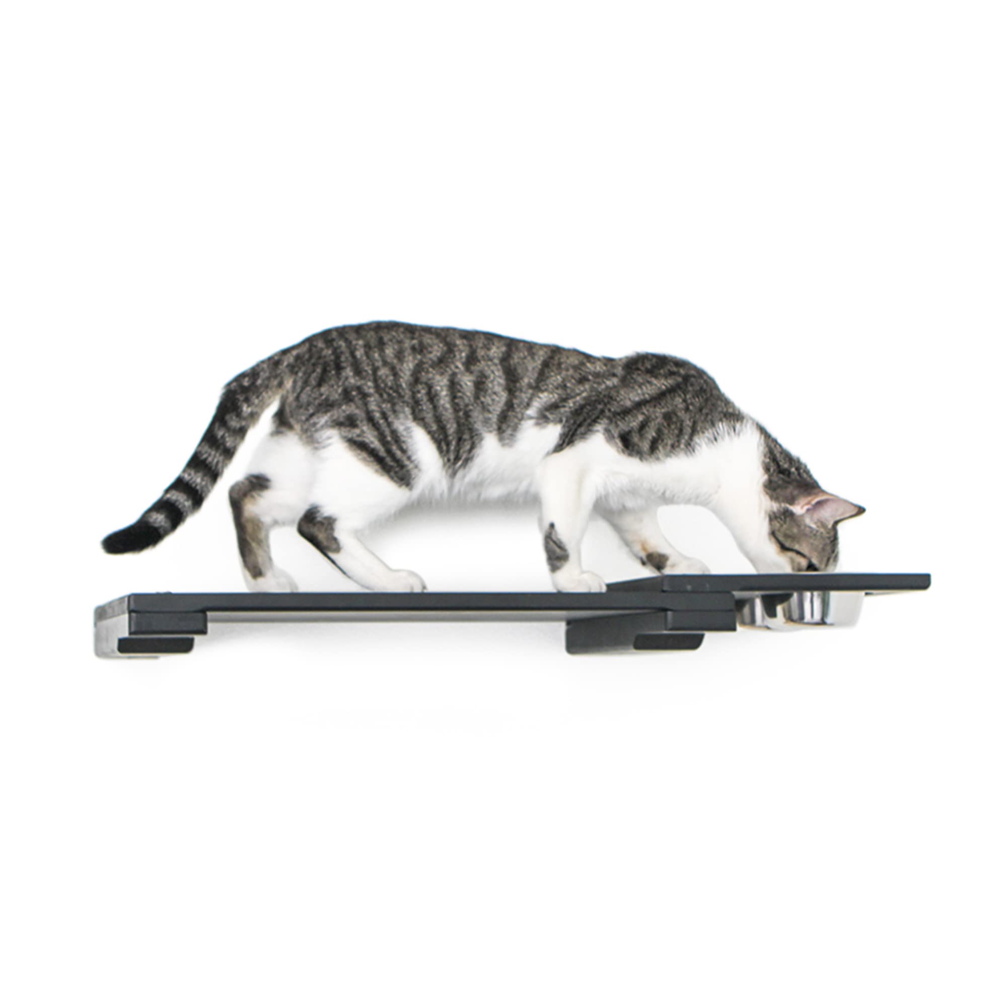 Catastrophic Creations Cat Feeder Shelf - 25-Inch