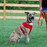 Comfort Soft Adjustable Mesh Dog Harness