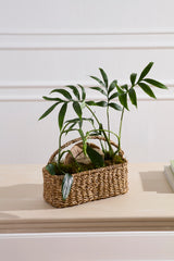 Russo Baskets By Accent Decor