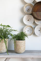Tejida Textured Woven Baskets By Accent Decor