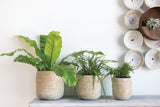Tejida Textured Woven Baskets By Accent Decor