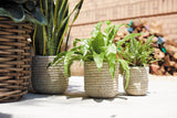 Tejida Textured Woven Baskets By Accent Decor