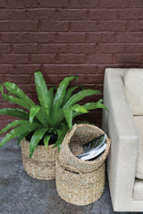 Hacienda Natural Fibers Baskets (Set of 3) By Accent Decor