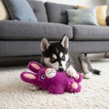 KONG Snuzzles Bunny Plush Dog Toy, Medium - view 3