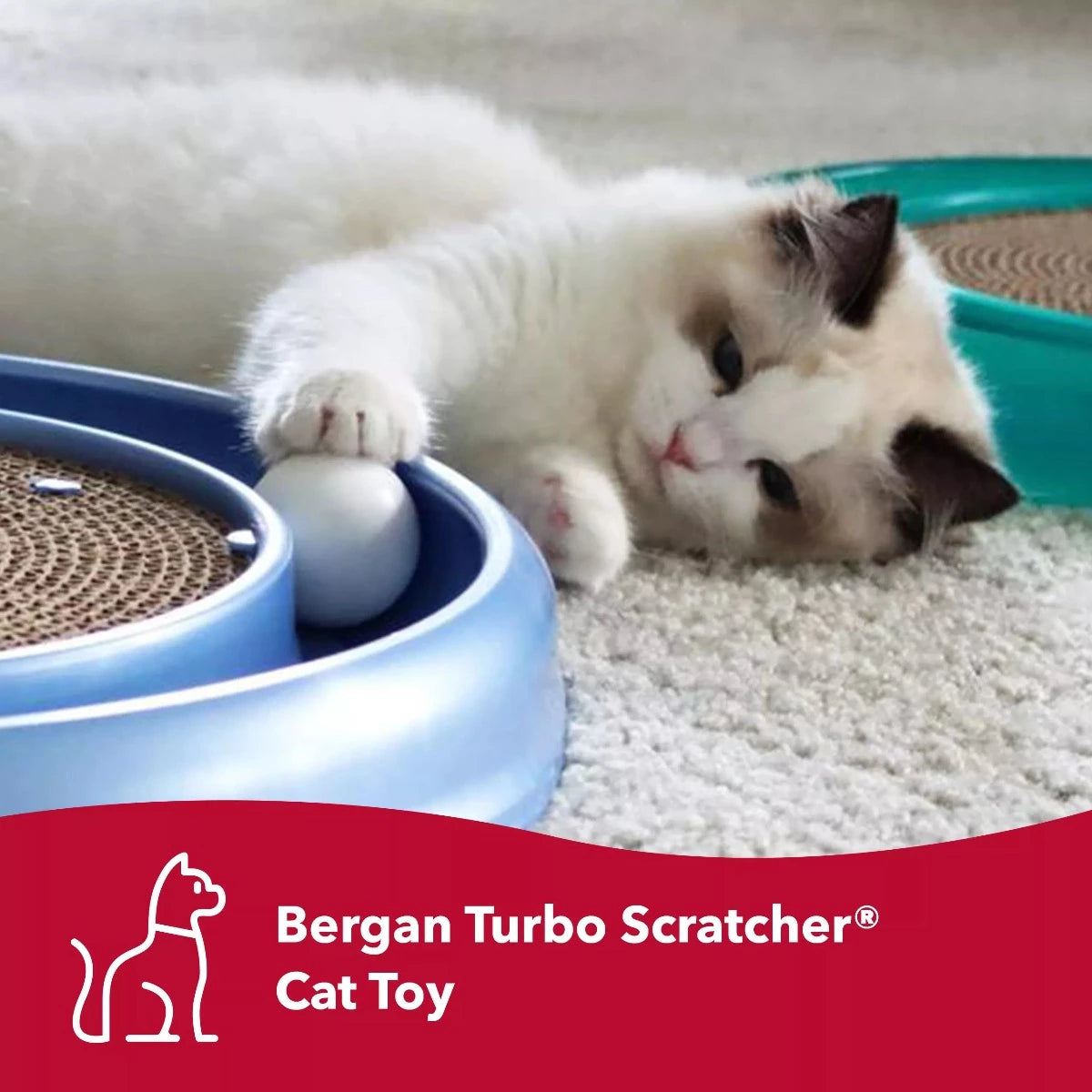 Bergan Pet Products Turbo Scratcher Cat Toy
