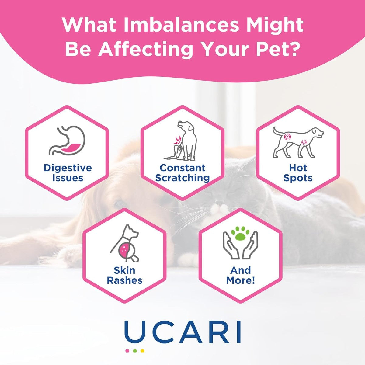 UCARI Pet Sensitivity and Intolerance Test Kit - Screens for 1,500+ Intolerances