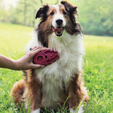 KONG Zoom Groom Raspberry Pet Brush - view 3