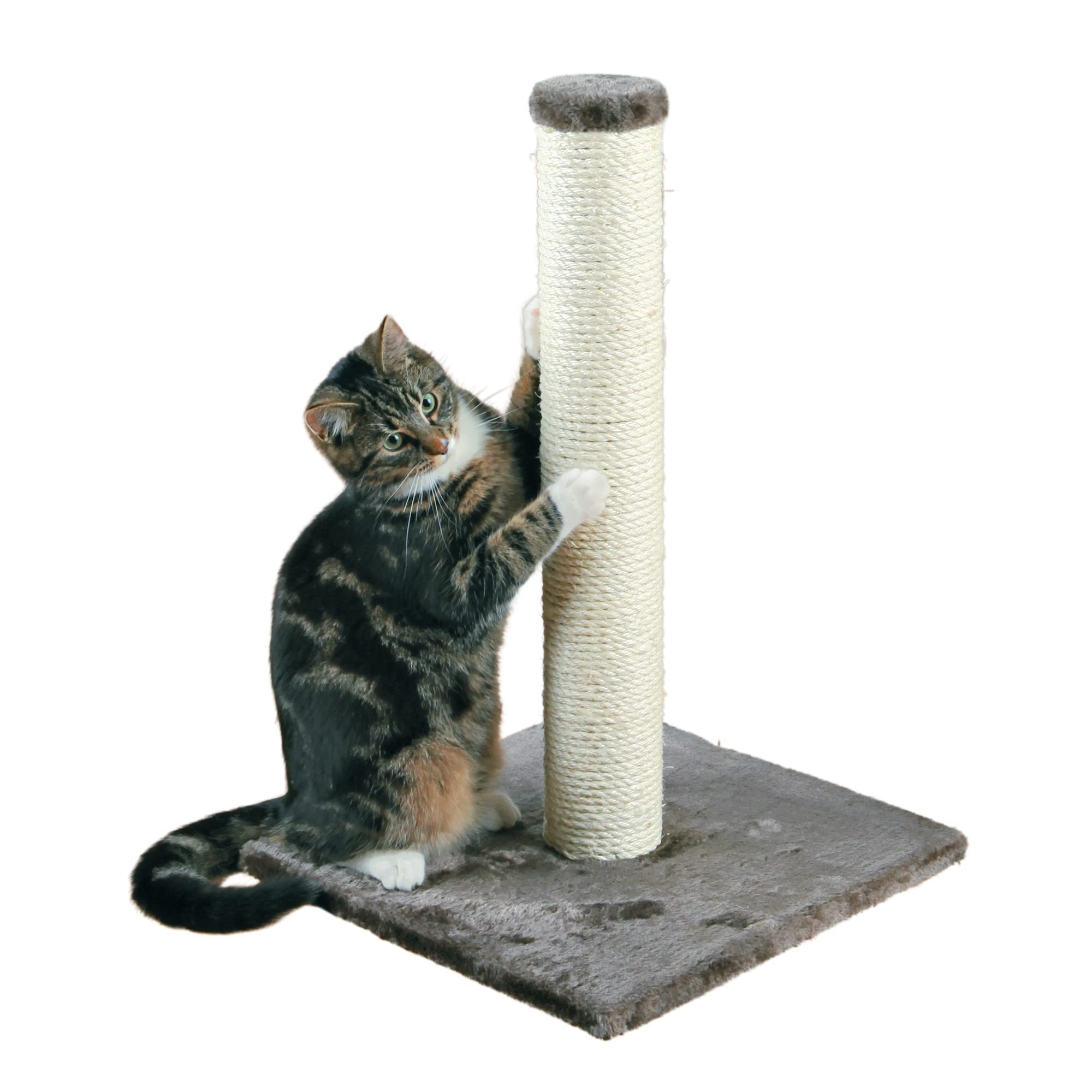 TRIXIE Parla Scratching Post, Durable Sisal Rope, 24.5