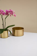 Bryant and Metal Pot By Accent Decor