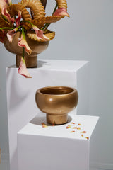Cassio Metal Compotes By Accent Decor