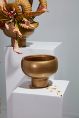 Cassio Metal Compotes By Accent Decor