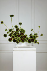 Manor Trough Vessel By Accent Decor