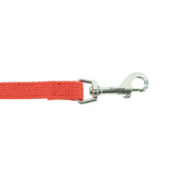 Train Right! Cotton Web Dog Training Leash, 5/8"