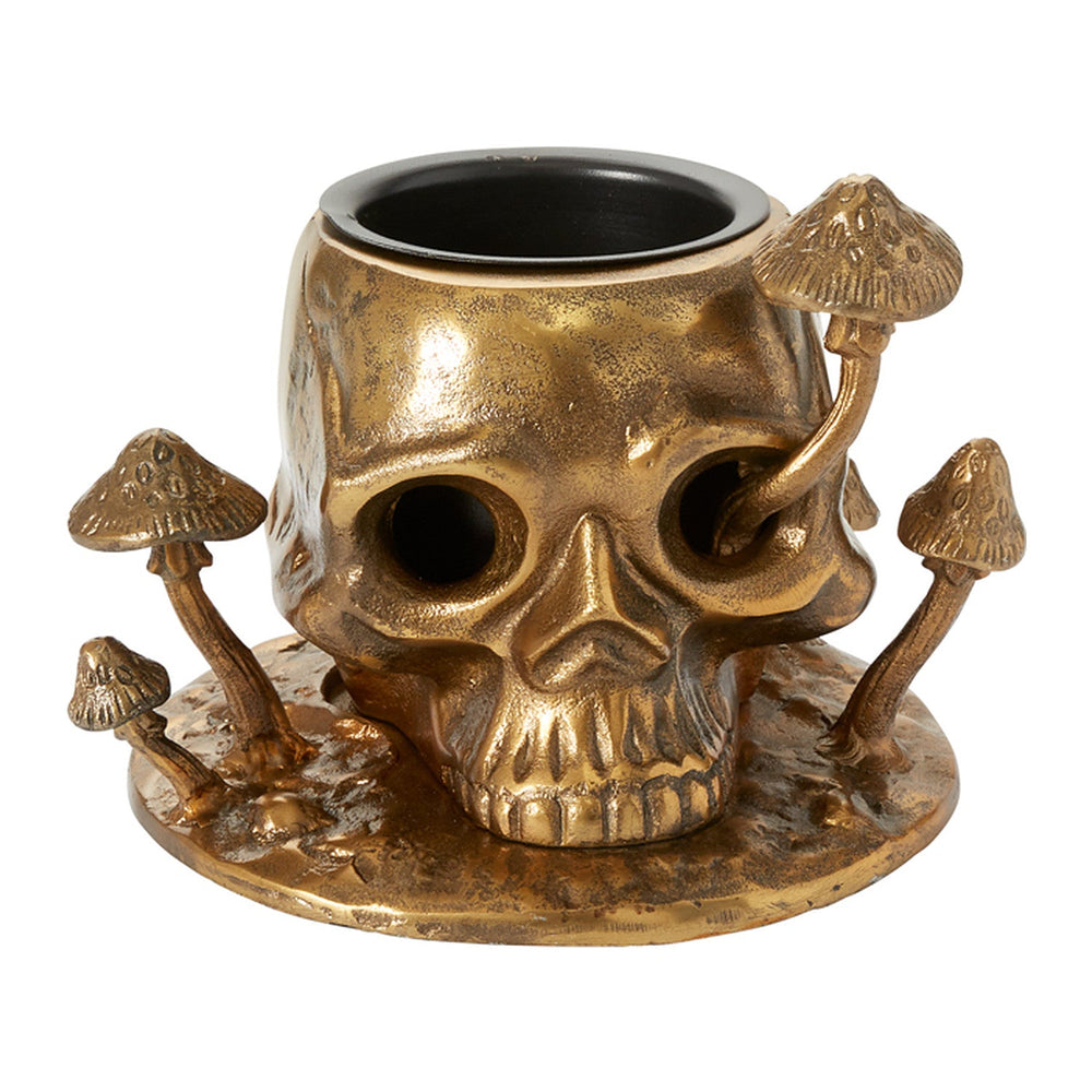 Cranium Metal Pot By Accent Decor