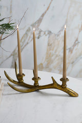 Elegant Antler Candleholders By Accent Decor