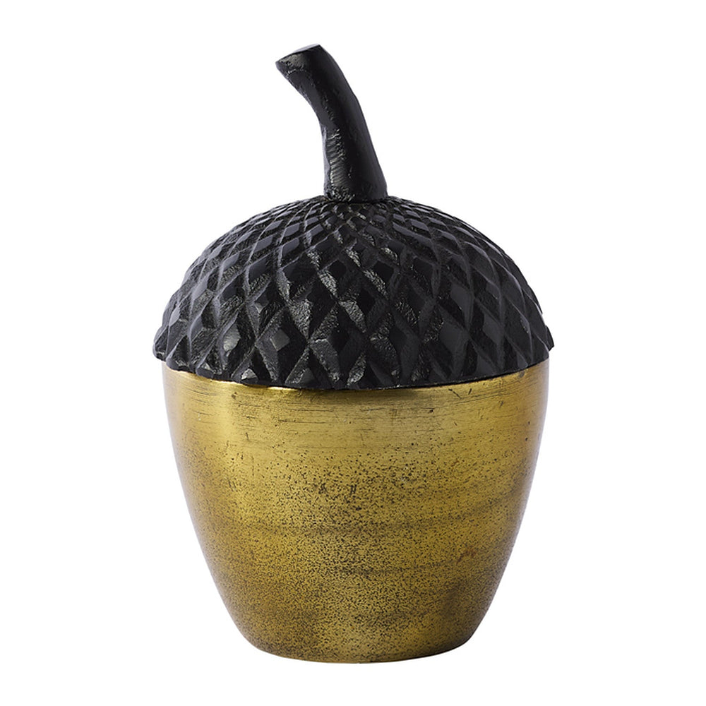 Acorn Stash Lidded Box Decorative Accent By Accent Decor