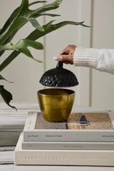 Acorn Stash Lidded Box Decorative Accent By Accent Decor
