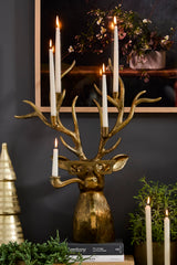 E+E Frankie Metal Candelabra By Accent Decor