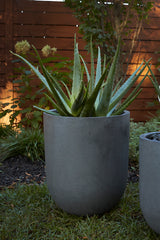 Leith Fiber Composite Planters By Accent Decor