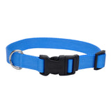 Adjustable Nylon Dog Collar with Plastic Buckle - Extra Small - 3/8" x 8"-12" / Blue Lagoon