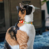 Safe Cat Fashion Adjustable Breakaway Cat Collar