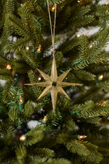 Starbright Ornaments By Accent Decor