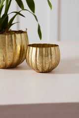 Ravi Pots By Accent Decor