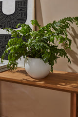 Mayu Reactive Glaze Textured Pot By Accent Decor
