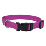 Adjustable Nylon Dog Collar with Plastic Buckle - Extra Small - 3/8" x 8"-12" / Orchid