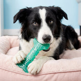 KONG Squeezz Dental Bone Dog Toy, Medium - view 3