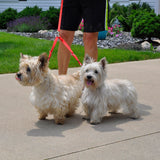 Adjustable 2-Dog Coupler