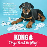 KONG Classic Hard Rubber Dog Toy (Multiple Sizes Available)