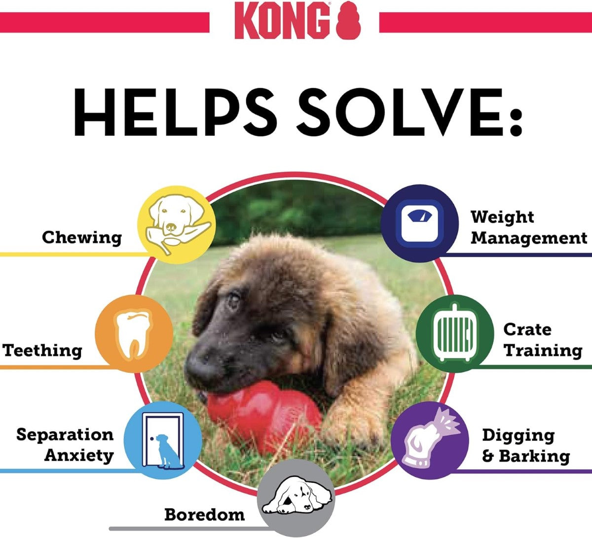 KONG Classic Dog Toy (Multiple Sizes Available)