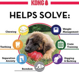 KONG Classic Hard Rubber Dog Toy (Multiple Sizes Available)