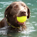 Ruff Dawg Indestructible Ball Tough Dog Chew Toy, Assorted (Multiple Sizes Available)