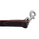 Circle T Latigo Leather Dog Leash, 6'