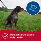 Circle T Latigo Leather Dog Leash, 6'