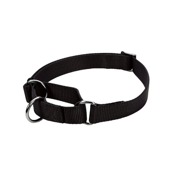 Coastal Pet Coastal Pet No! Slip Martingale Adjustable Dog Collar