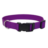 Adjustable Nylon Dog Collar with Plastic Buckle - Extra Small - 3/8" x 8"-12" / Purple