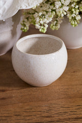 Tallie Pots By Accent Decor
