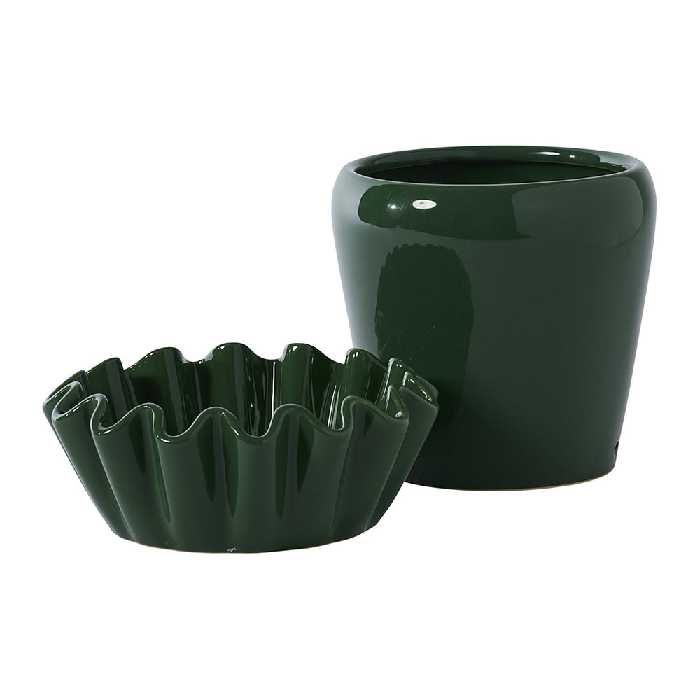 Lorelai with Saucer Pot By Accent Decor