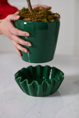 Lorelai with Saucer Pot By Accent Decor