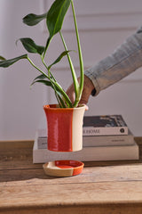 Rowen with Saucer Pots By Accent Decor