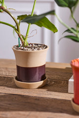 Rowen with Saucer Pots By Accent Decor