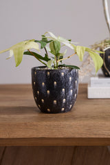 Spotted Dot Pots By Accent Decor