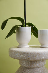 Laney Ceramic Vases By Accent Decor