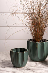 Beaumont Ceramic Pots By Accent Decor