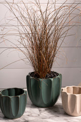 Beaumont Ceramic Pots By Accent Decor
