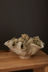 Caraway Ceramic Bowls By Accent Decor