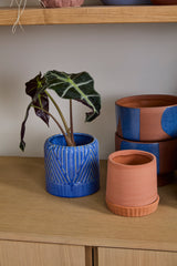 Refresh Ceramic Pots By Accent Decor